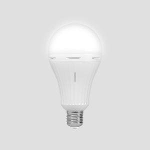 LED EMERGENCY BULB
