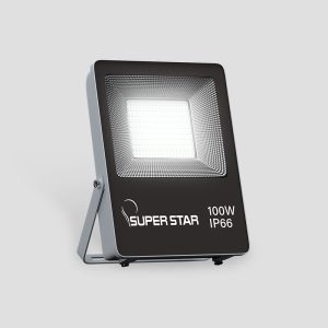 LED FLOOD LIGHT